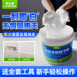 莱仕德 补墙膏墙面修补腻子膏白色防水防潮防霉乳胶漆内墙修复家用腻子粉