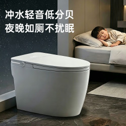 东鹏 智能马桶家用轻音冲水无水压限制轻智能全智能一级水效2026年新款 轻智能豪华