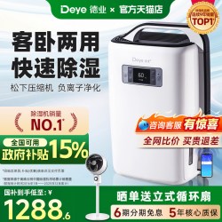 Deye 轻音 除湿机