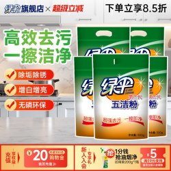 绿伞 五洁粉 不锈钢清洁剂 500g*5袋 家用去污粉