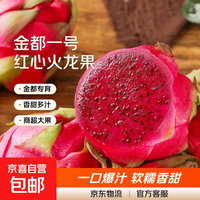 京喜自营-专用品牌 金都 广西红心火龙果 200g*2