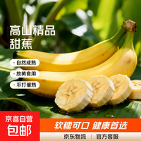 京喜自营-专用品牌 高山精品甜蕉现摘新鲜水果香蕉孕妇宝宝辅食搭配丫丫生鲜特产 2斤带箱装