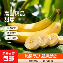 京喜自营-专用品牌 高山精品甜蕉现摘新鲜水果香蕉孕妇宝宝辅食搭配丫丫生鲜特产 2斤带箱装