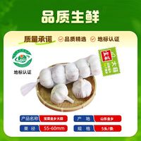 百亿补贴：宝菜 金乡大蒜 紫皮蒜 3条