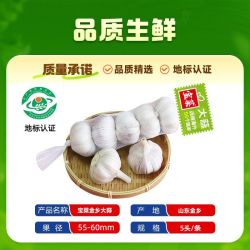 宝菜 金乡大蒜 紫皮蒜 3条