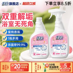 绿伞 香氛洁厕净 除垢洁厕灵 600g*2瓶 带喷头