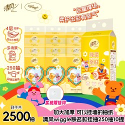 清风 BG25SCIPW 纸巾 4层250抽10提