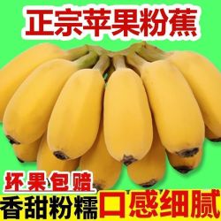 万峰村庄 广东正宗苹果粉蕉 新鲜现摘软糯香蕉 原生态苹果蕉批发整箱