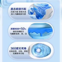 家家宜 除菌洁厕剂除垢亮白洁净 厕所马桶清洁强力除臭抑菌洁厕