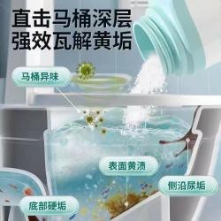 百洁橙 尿碱溶解剂马桶清洁剂强力除尿垢洁厕神器卫生间除垢祛除黄尿渍