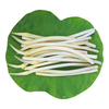 洪湖农家 新鲜藕带 300g 根茎类蔬菜