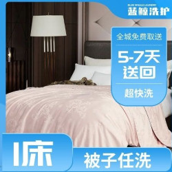 洗厚被1床丨羽绒被/蚕丝被/羊毛被