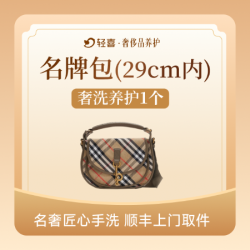 轻奢包包洗护保养1只-29cm内含补色