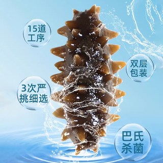 晓芹 大连即食海参 辽刺参 1000g
