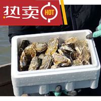 京乐狳 福建生蚝 XXL(125g-150g) 4斤装 冷冻带壳牡蛎