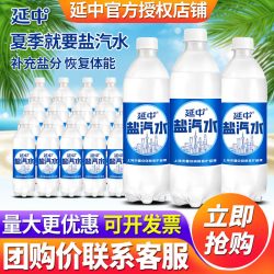 延中 碳酸饮料 低能量 咸味
