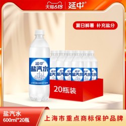 延中 碳酸饮料 低能量 咸味