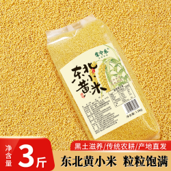 掌中禾 当季新米 东北黄小米 执行标准 GB/T11766 黄小米 1.5kg