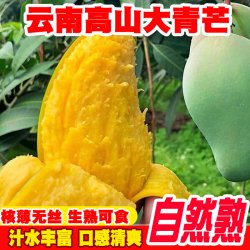 滇老头 云南新鲜大青芒       保山当季热带生吃芒果   3斤装