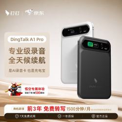 钉钉 Talk A1pro 智能AI录音笔 暮夜黑