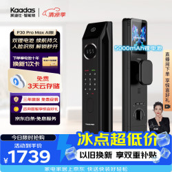 凯迪仕 P30 Pro Max 3D人脸识别 双摄版 智能门锁