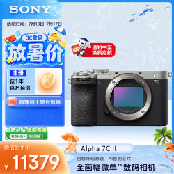 索尼 Alpha 7C II全画幅微单相机 创意外观滤镜 AI智能芯片 银色 单机身（a7c2/A7C II/A7CM2）