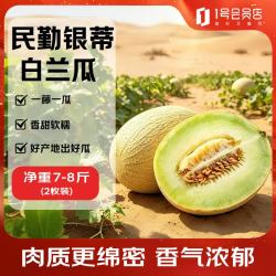 趣尝鲜 甘肃民勤银蒂甜瓜 净重7-8斤 2粒装 1号会员店 源头直发
