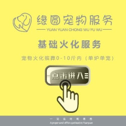 宠物火化殡葬10-20斤内(单炉单宠)
