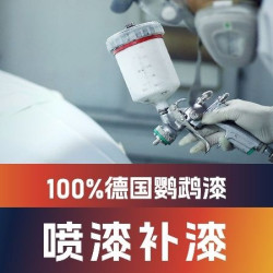 [补漆]单面补漆|36小时交车｜鹦鹉漆