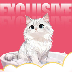 爱洗澡的猫 长毛猫伊珊娜精致洗护｜新客首次价(不限体重)