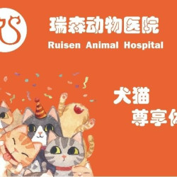 犬猫年度尊享体检