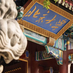 北京大学我们预约进校参观+智能讲解+当日可定