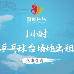 乒乓球台场地