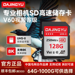 DAJINGYU 大鲸鱼内存卡V60V90索尼佳能尼康松下单反数码微单相机sd卡