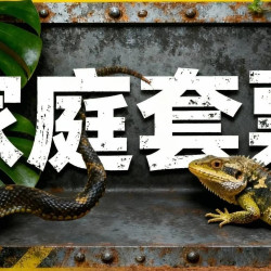 工作日两大一小撸爬新奇体验票