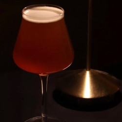 进口精酿1杯精酿啤酒