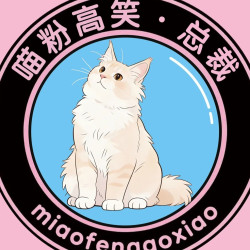 双人不限时榻榻米茶室撸猫拼豆豪华套餐