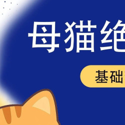 [母猫绝育]基础版（血常规+吸入麻醉+消炎止痛针）