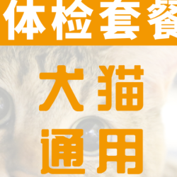 犬猫B超孕检