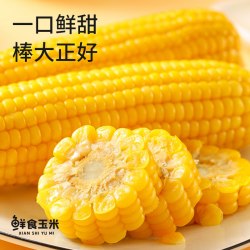 农垦雁窝岛 农垦 东北黑糯甜玉米新鲜黄糯玉米粗粮真空装玉米棒10根2.3-2.4kg