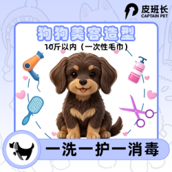狗狗10斤内剪毛造型一次性毛巾一宠一消毒