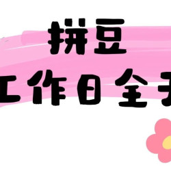 拼豆全天不限时•不限量•高品质•特殊烫•302色