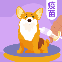 犬八联1针 ｜ 到店服务
