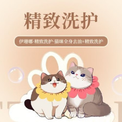 伊珊娜精致洗护+猫咪全身去油