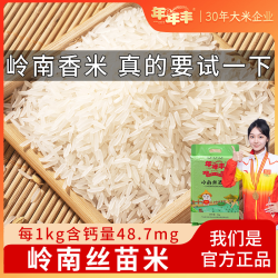 年年丰 新米岭南丝苗米长粒香米 5斤/20斤