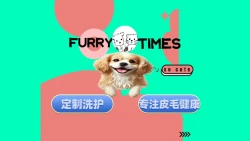 小型犬寄养遛狗套餐