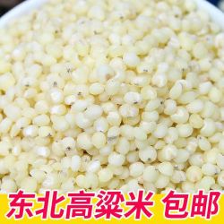 东北白高粱米 5斤 粗粮健康营养