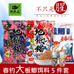钓鱼王 地狱猫蓝鲫青春五件套浓腥味鲫鲤通用鱼饵套装
