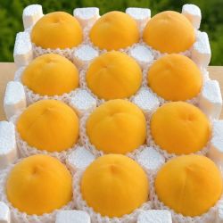 特大果 山东蒙阴 黄金毛桃 2.5斤装 4-6个