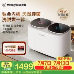 西屋电气 西屋（Westinghouse）内衣裤迷你洗衣机双桶全自动高温洗脱烘一体